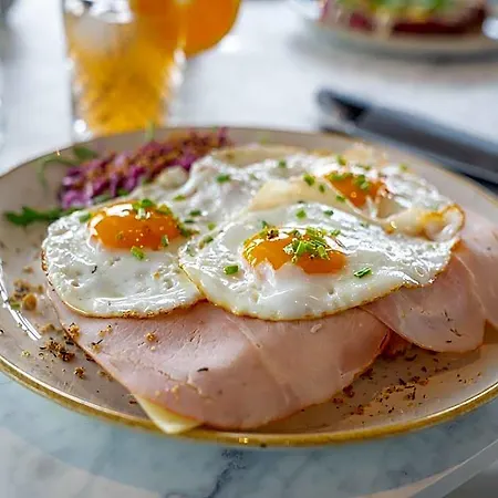 Hotell In Cape Helius With Garden Terrace Hellevoetsluis